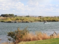 2011 1003 IMG_3455