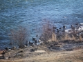 2011 1205 IMG_3905