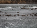 2012 1130 IMG_7888