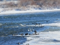 2013 0104 IMG_8231