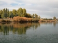 2013-10-12 15.48.17