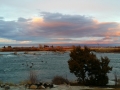 2014-03-06 18.19.21-1
